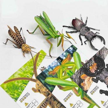Комахи з паперу, набір 3 штуки