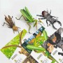 Комахи з паперу, набір 3 штуки