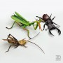 Комахи з паперу, набір 3 штуки