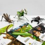 Комахи з паперу, набір 3 штуки