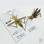 Комахи з паперу, набір 3 штуки